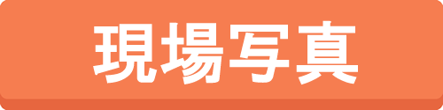 ʐ^@c
